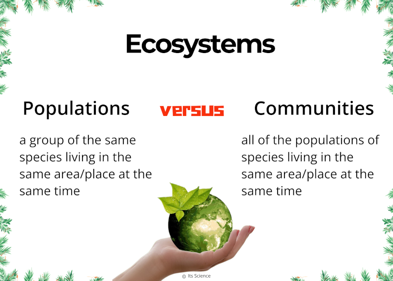 populations versus communities definitions