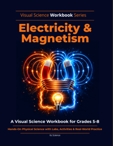 Electricity & Magnetism Visual Science Workbook